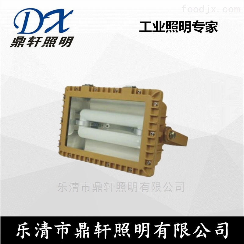 ca88娱乐平台节能防爆灯BYW1053-40W价格