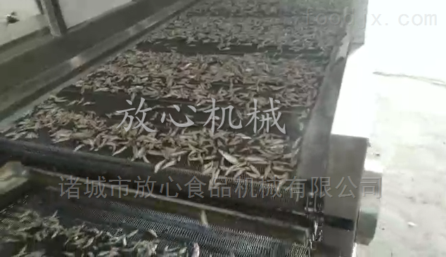 小鱿鱼仔烘干机
