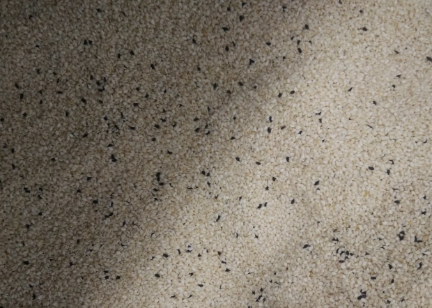 传统与现代的碰撞：机械化生产让芝麻酱香飘万家