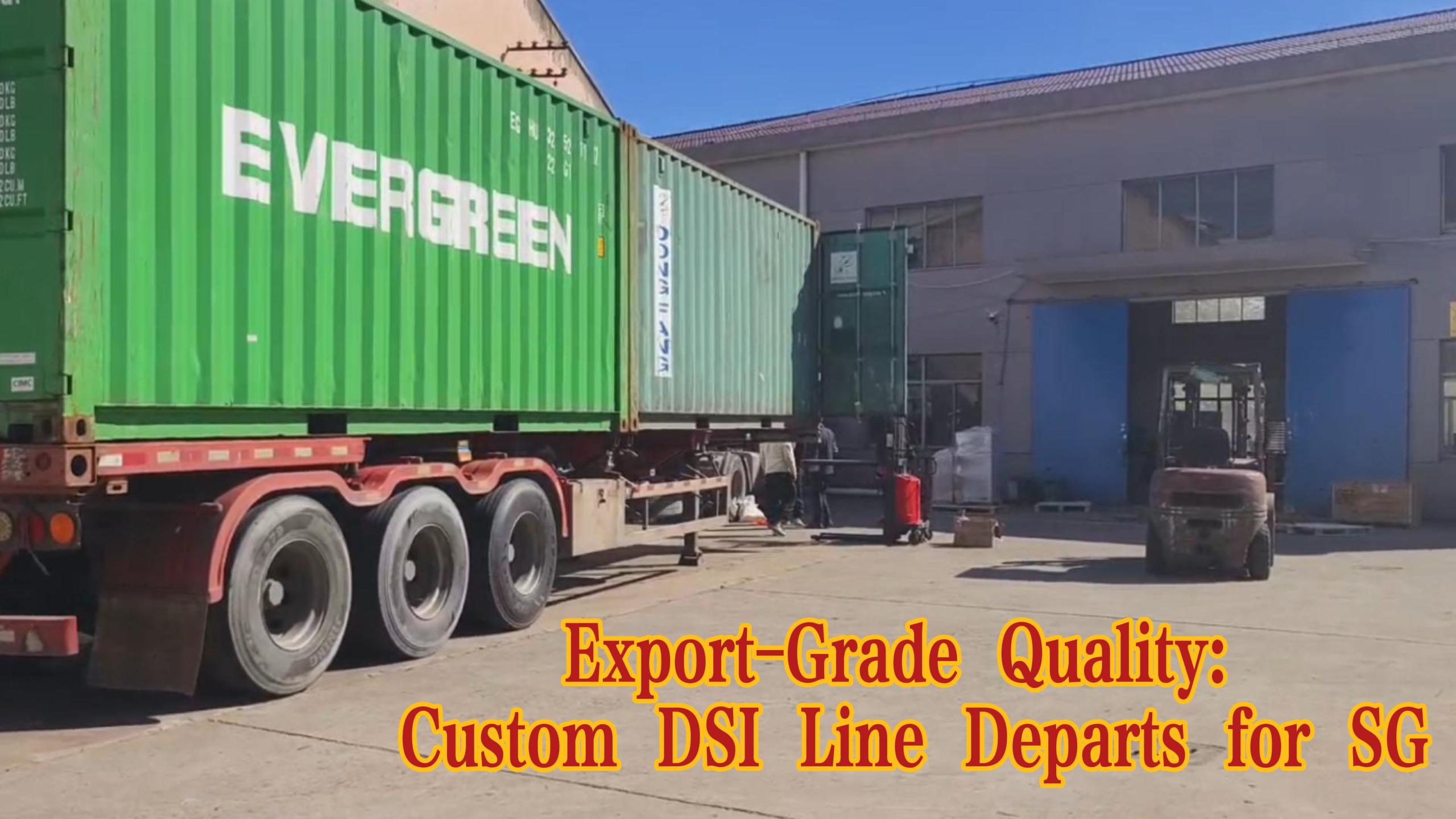 新加坡订单！DSI杀菌生产线装车