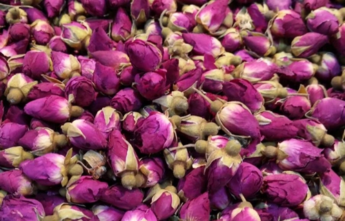 中國通用機械工業(yè)協(xié)會干燥設備分會關于《真空冷凍干燥機能效限定值及能效等級》、《真空干燥設備通用技術條件》團體標準征求意見公示的通知