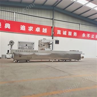 DZR420-390红烧狮子头拉伸膜真空包装机