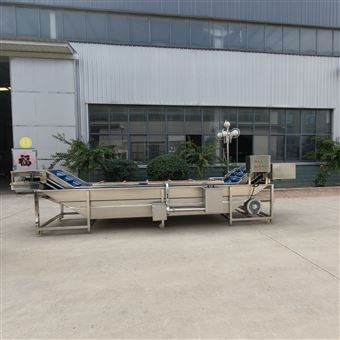 海带丝加工设备