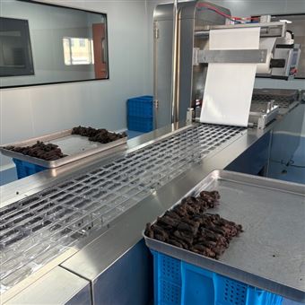 420玉米浆包拉伸膜真空包装机