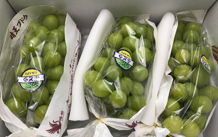 赤峰市元宝山区市场监管局针对各类冷库组织开展食品安全专项检查