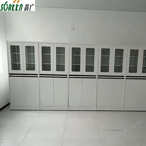 實驗室器皿柜定制全鋼試劑柜試驗室家具