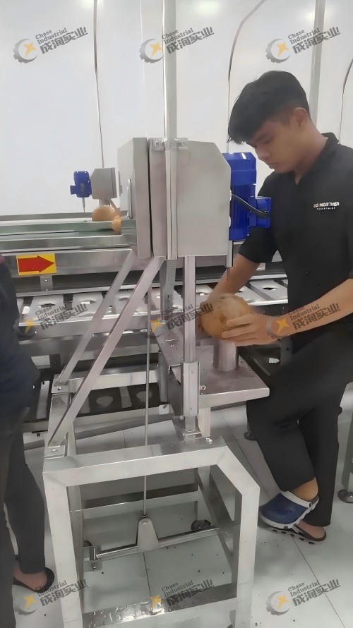 椰子鉆孔取水.jpg 椰子鉆孔取水.jpg