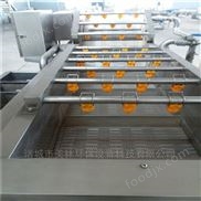 黃瓜果蔬氣泡清洗機(jī)