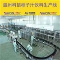 整套柚子果汁饮料生产线 全自动定制设备