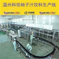 整套柚子果汁饮料生产线 全自动定制设备