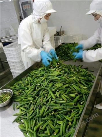 鼎誠牌自動(dòng)出料低溫真空油炸機(jī)廠家