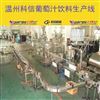 2025全自动中小型葡萄汁饮料生产线 可定制